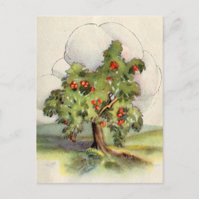 Vintager Apfelbaum Postkarte (Vorderseite)