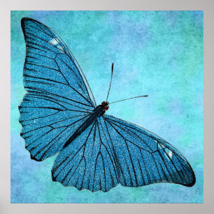 Vintager Aquamariner Blauer Schmetterling der 1800 Poster
