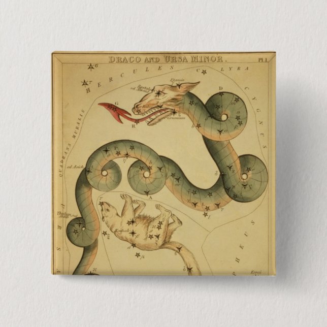 Vintager Astronomiedruck Draco u. Ursa Button (Vorderseite)