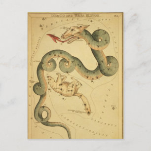 Vintager Astronomiedruck Draco & Ursa Minor Postkarte