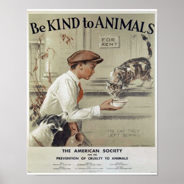 Vintager Ausdruck zum Tierschutz - Gutes für Tiere Poster (Vorne)