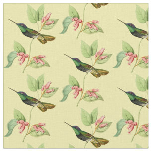 Vintager ausgezeichneter Kolibri Stoff