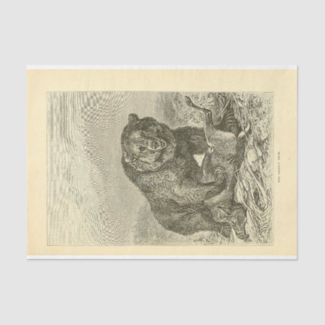 Vintager Bär Ephemera Decoupage Seidenpapier (Vorderseite)