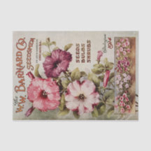 Vintager Barnard-Blume-Katalog 1914 Drucken