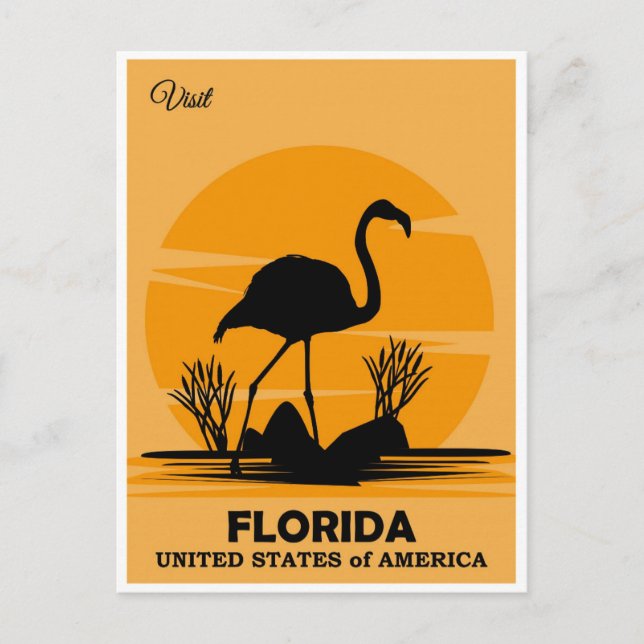 Vintager Besuch Florida Flamingo Postkarte (Vorderseite)