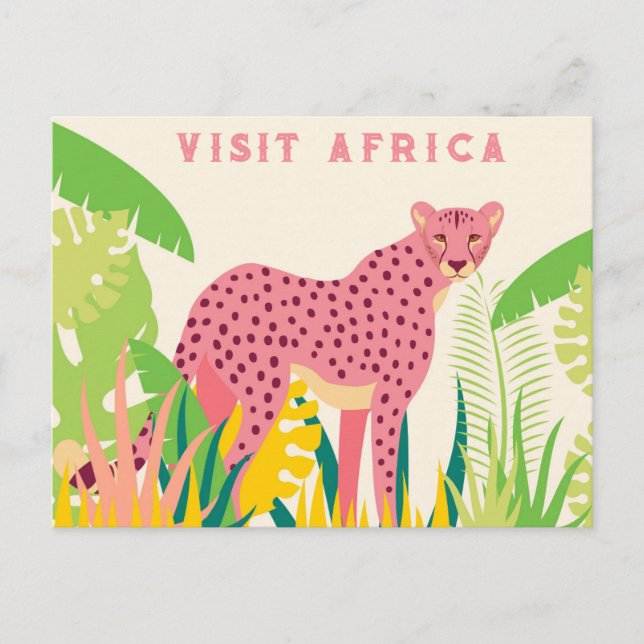 Vintager Besuch in Afrika Pink Cheetah Postkarte (Vorderseite)