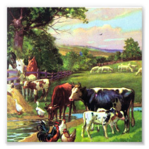 Vintager Betrieb Fotodruck