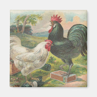 Vintager Betrieb Magnet