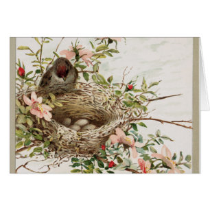 Vintager Bird