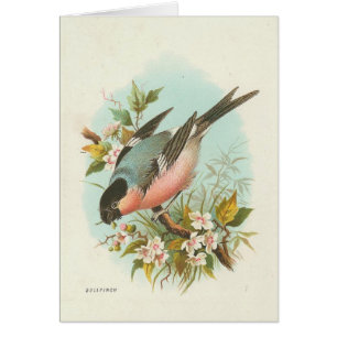 Vintager Bird