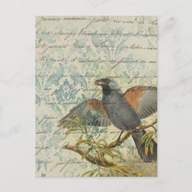 Vintager Bird Ephemera Decoupage Postcard Postkarte (Vorderseite)