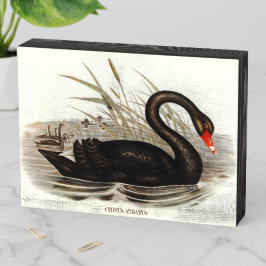 Vintager Bird-of-Swan Holzkisten Schild