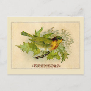 Vintager Bird Postkarte