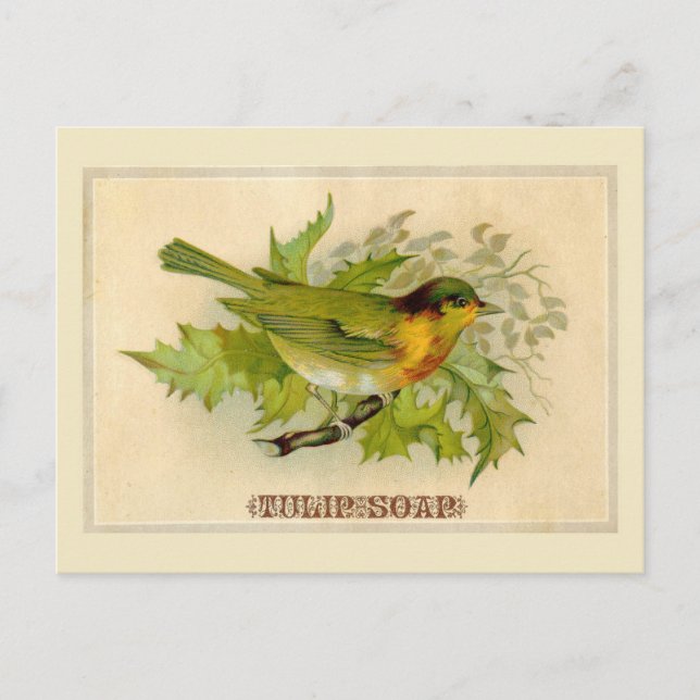 Vintager Bird Postkarte (Vorderseite)