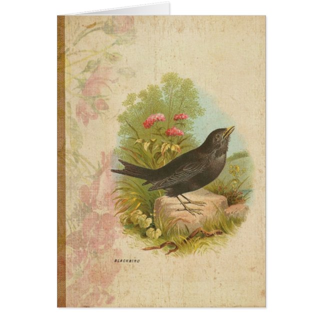 Vintager Blackbird (Vorne)