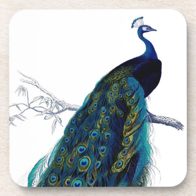Vintager blauer eleganter bunter Pfau Untersetzer (Vorderseite)