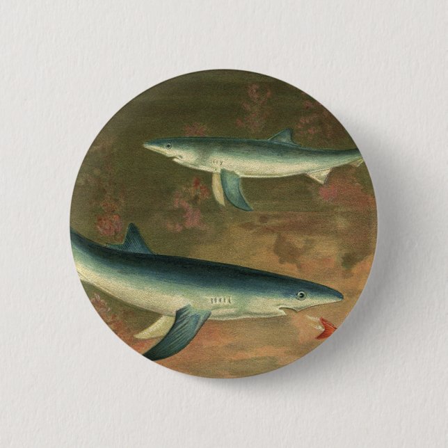 Vintager Blauer Hai isst Fisch, Meeresleben Button (Vorderseite)
