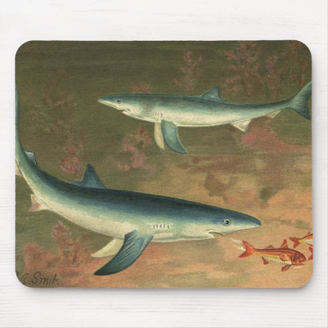 Vintager Blauer Hai isst Fisch, Meeresleben Mousepad (Vorne)