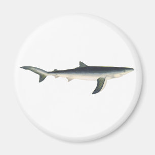 Vintager Blauer Hai, Leben im aquatischen Ozean Magnet