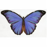 Vintager blauer lila Schmetterling Fotoskulptur Magnet<br><div class="desc">Vintager blauer lila Schmetterling Karo heraus alle diese anderen großen Geschenkideen! Fertigen Sie besonders an oder personifizieren Sie irgendwelche Einzelteile, indem Sie Ihren eigenen Text wie Namen, Plätze oder Sachen hinzufügen sowie fügen Sie Ihre eigenen Ideen hinzu der Grafiken, um einzigartigen und ursprünglichen Einzelteile zu schaffen, der Büroprodukte oder des...</div>