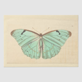 Vintager Blauer Schmetterling Ephemera Decoupage A Seidenpapier