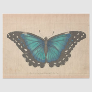 Vintager Blauer Schmetterling Ephemera Decoupage A Seidenpapier