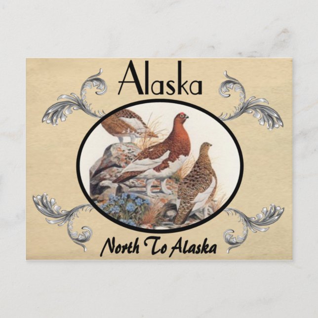 Vintager Blick Alte Postkarte Alaska Staat (Vorderseite)