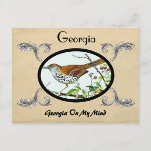 Vintager Blick alte Postkarte Georgia Stste