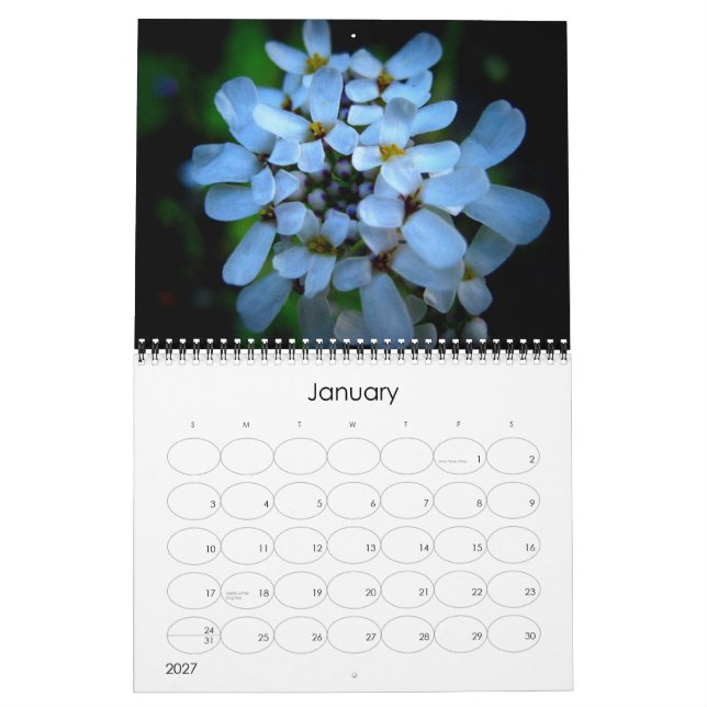 Vintager Blumen-Kalender Kalender (Jan 2027)