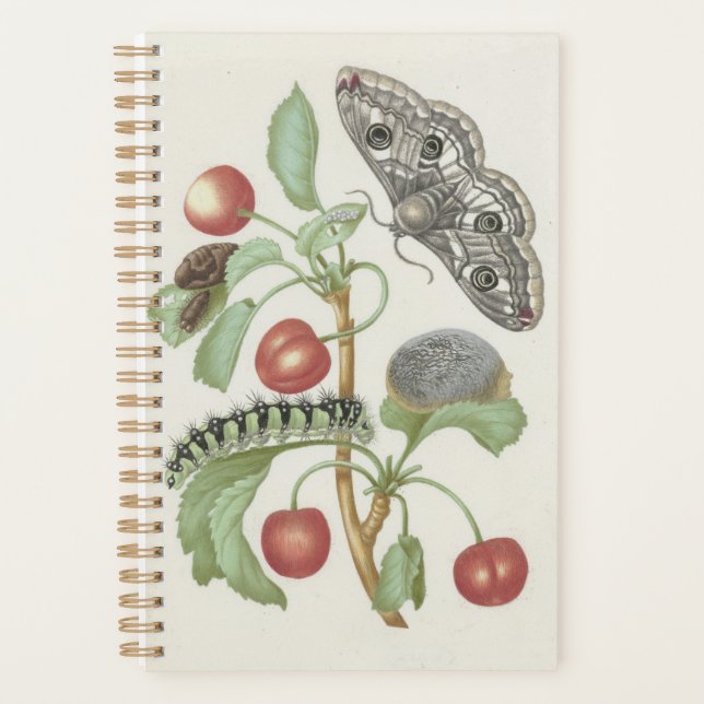 Vintager Blumenplaner mit Moth und Raupe Planer (Vorderseite)