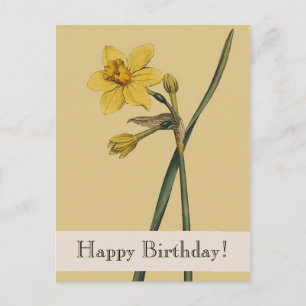 Vintager botanischer Affodil Happy Birthday Postca Postkarte
