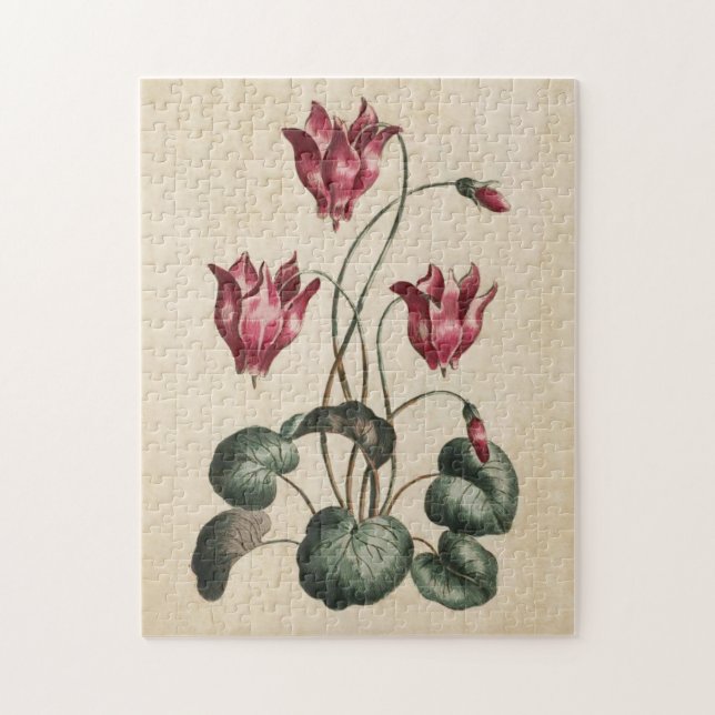 Vintager botanischer Blumenzymclamen Puzzle (Vertikal)