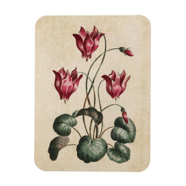 Vintager Botanischer Blumenzymklaven Magnet (Vertikal)
