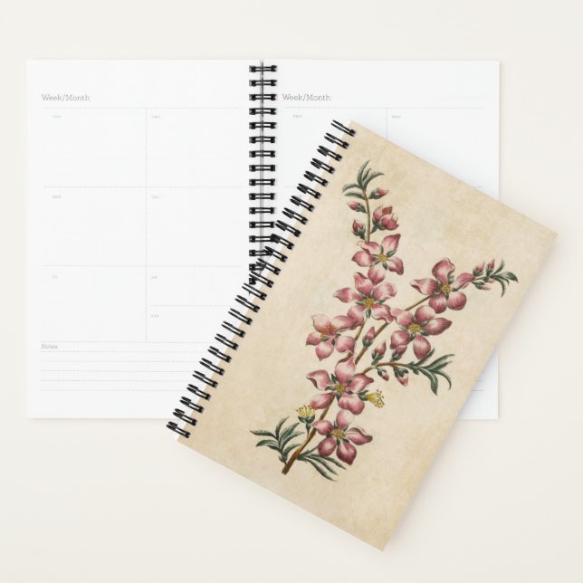 Vintager botanischer Blütenmandelblümchen Planer (Anzeige)