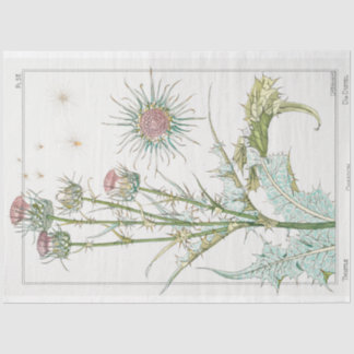 Vintager botanischer Dickstahl Seidenpapier