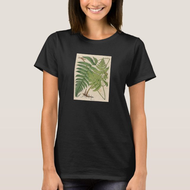 Vintager botanischer Druck - Farne T-Shirt (Vorderseite)