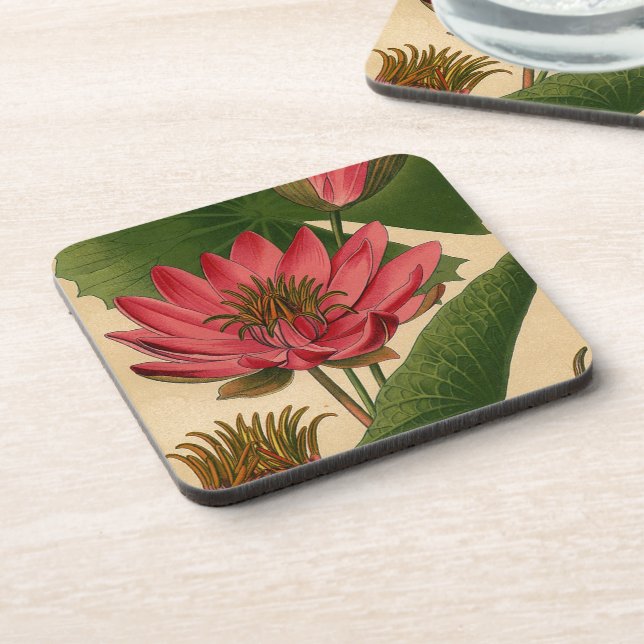 Vintager botanischer Druck Rosa Wasserlilie Lotus Getränkeuntersetzer (Linke Seite)