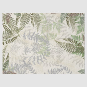 Vintager botanischer Farn verlässt Seidenpapier
