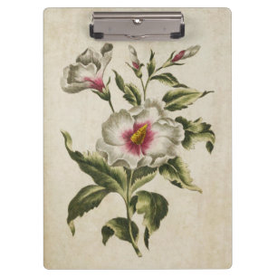 Vintager botanischer Floral Althea Frutex Klemmbrett