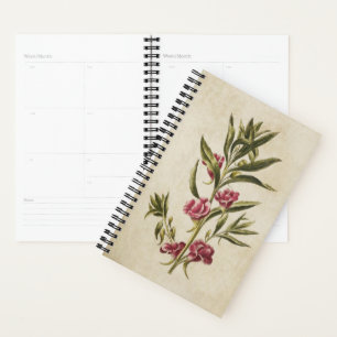 Vintager botanischer Floral Balsam Planer