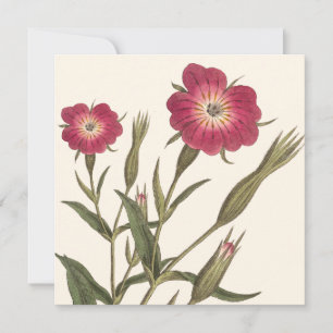 Vintager botanischer Geburtstag für Lady Gardener Einladung