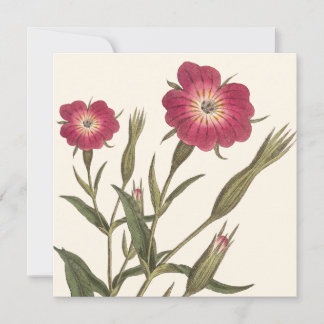 Vintager botanischer Geburtstag für Lady Gardener Einladung