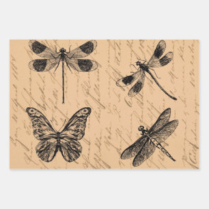 Vintager Botanischer Grunge-Schmetterling-Dragonfl Geschenkpapier Set