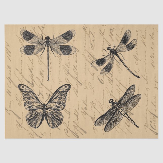 Vintager Botanischer Grunge-Schmetterling-Dragonfl Seidenpapier (Vorderseite)
