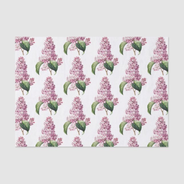Vintager botanischer Lila Lilac Blossom Seidenpapier (Vorderseite)