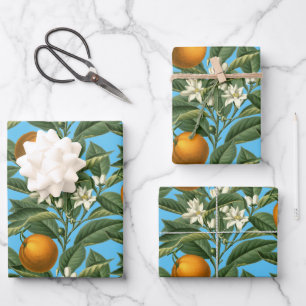 Vintager botanischer Orangenfruchtsaft Blauer Blau Geschenkpapier Set