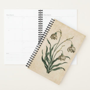 Vintager botanischer Schneefall Planer