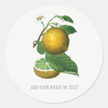 VINTAGER BOTANISCHER UMSCHLAG AUFKLEBER MIT CITRUS