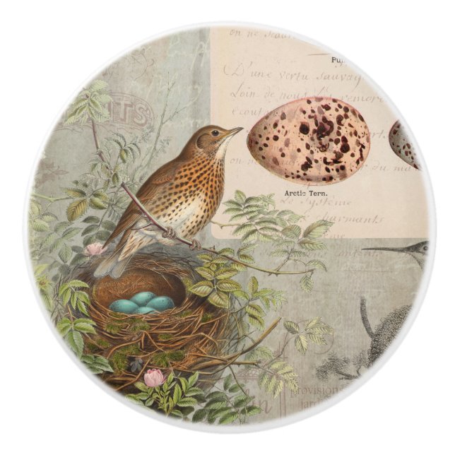Vintager botanischer Vogel Nest Egg Skript Ephemer Keramikknauf (Vorderseite)