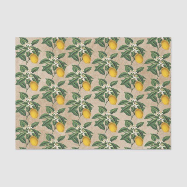 Vintager Botanischer Zitronenblossom Beige Kraft Seidenpapier (Vorderseite)